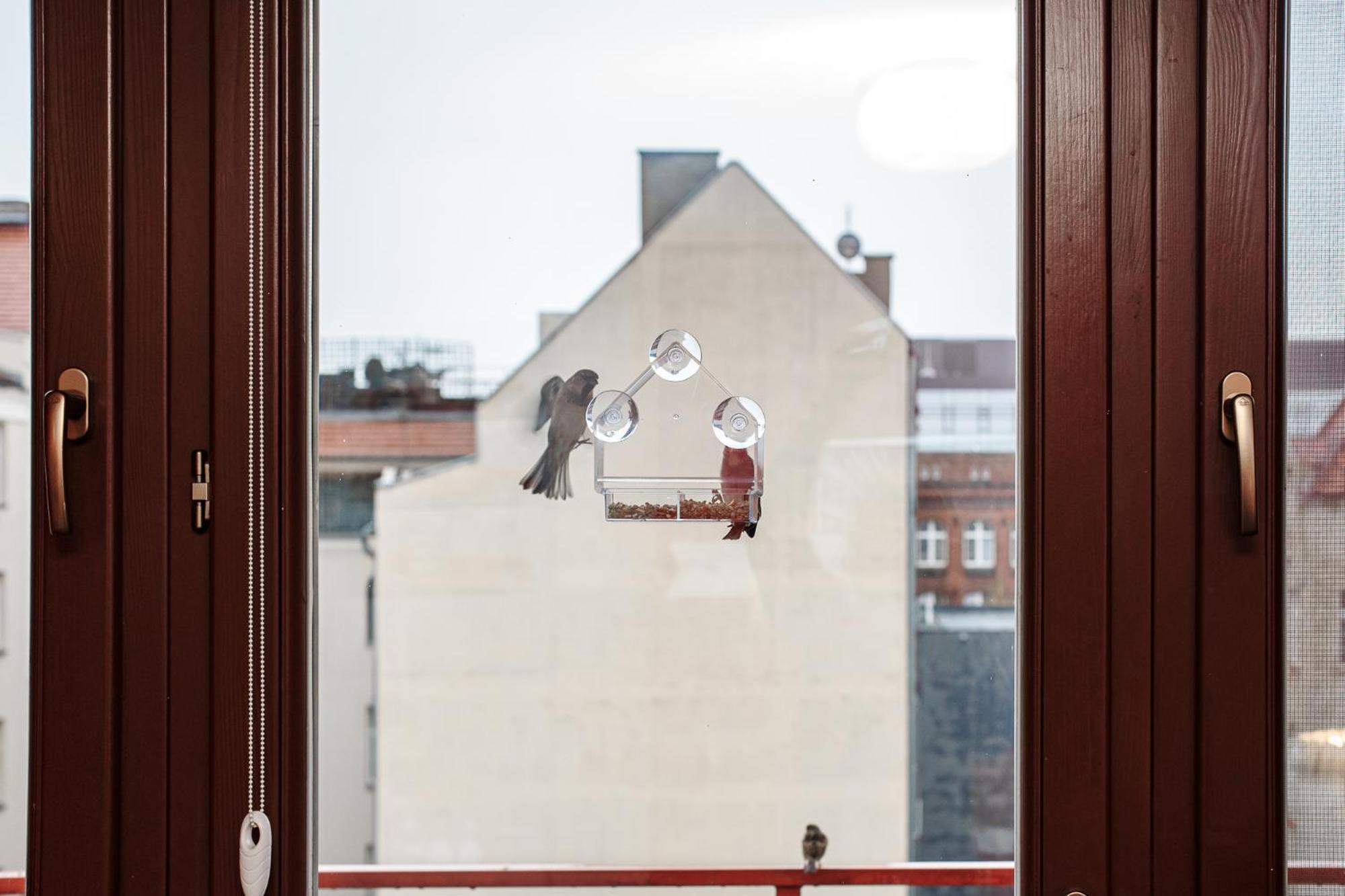 Aura Apartment Wrocław Eksteriør bilde